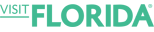 ADV Logo